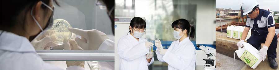 總氮菌-3天見效,15天達標